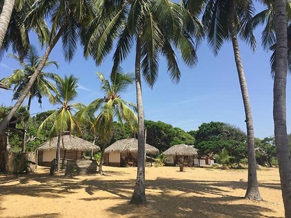 Upali Beach Surf Resort & Cafe Arugam Kudah Eksteriør bilde